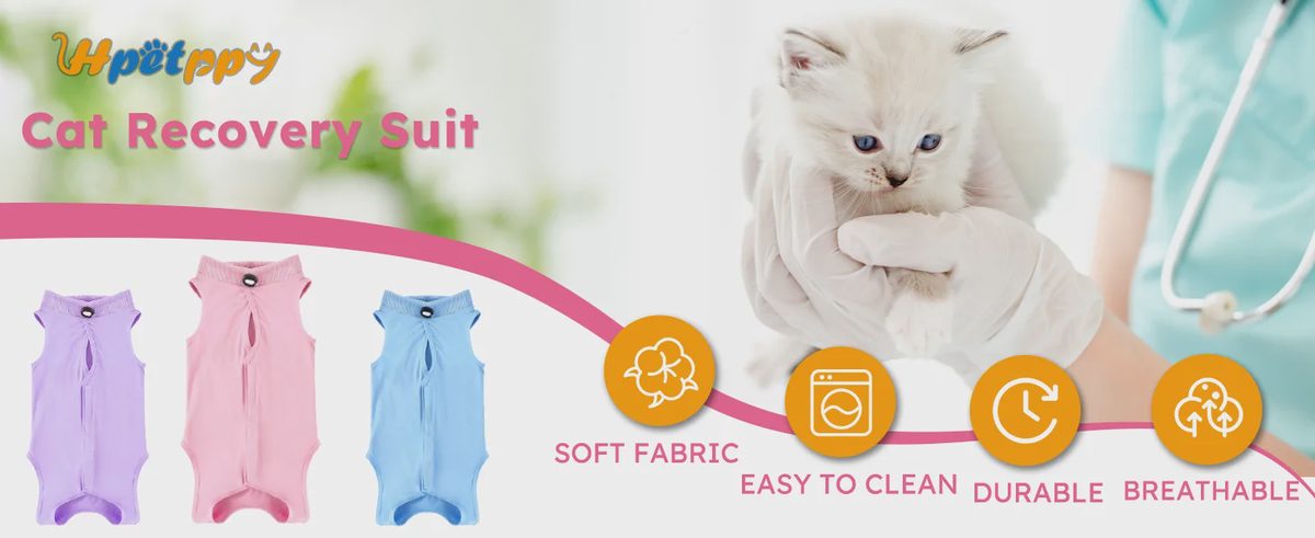 Hpetppy Cat Recovery Suit for Spay Abdominal Wounds.