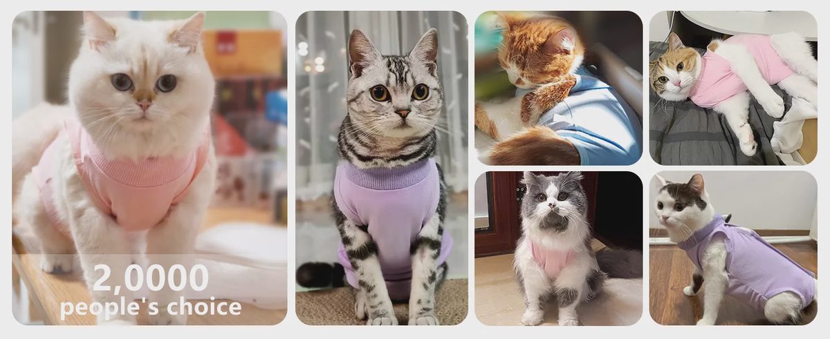 The Hpetppy Cat Recovery Suit has a solid 4.2 out of 5 stars from over 1,600 Amazon reviews.